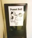 Peanut Bull